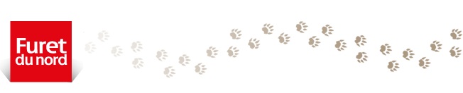 Capture d ecran 2016 02 25 a 16 29 37