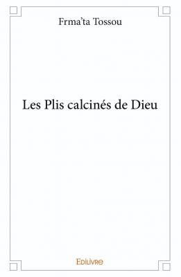 Couverture les plis calcines de dieu 1ere